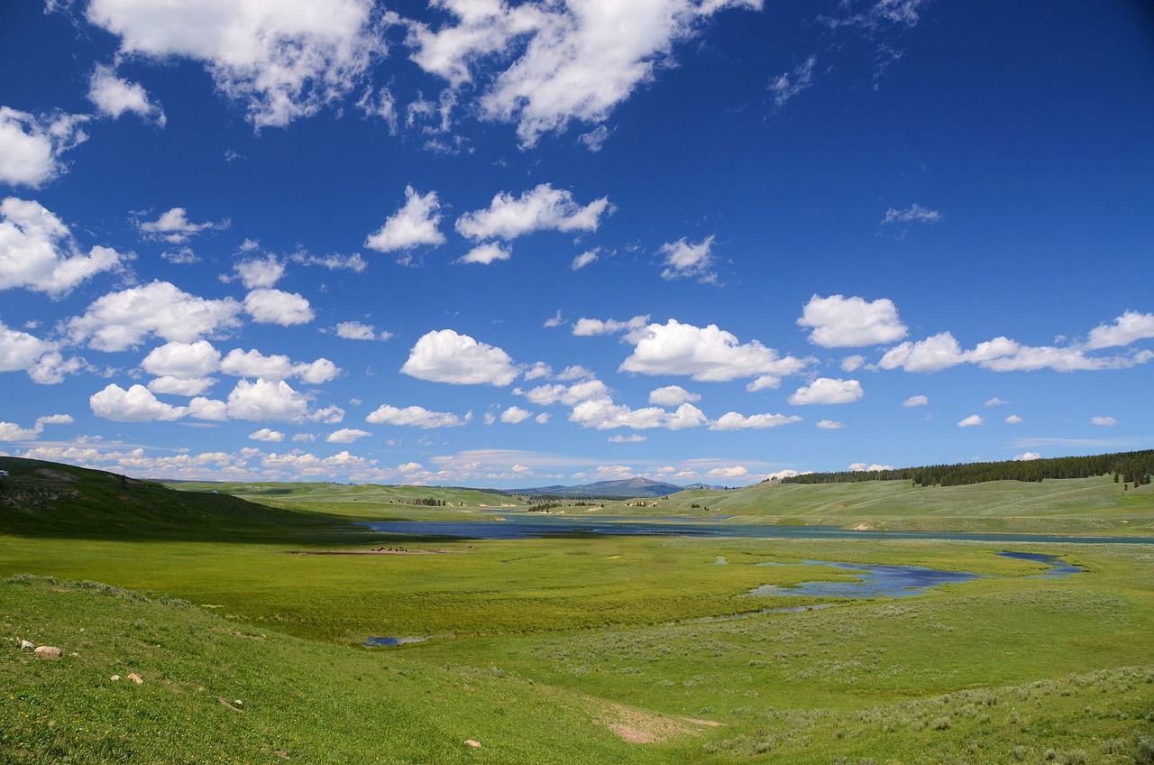 Government urged to clarify source of funding for nature restoration