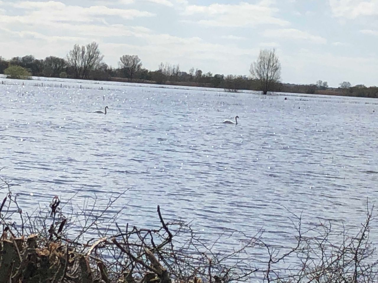 TD calls for 'Save our Shannon' to be on flood working group