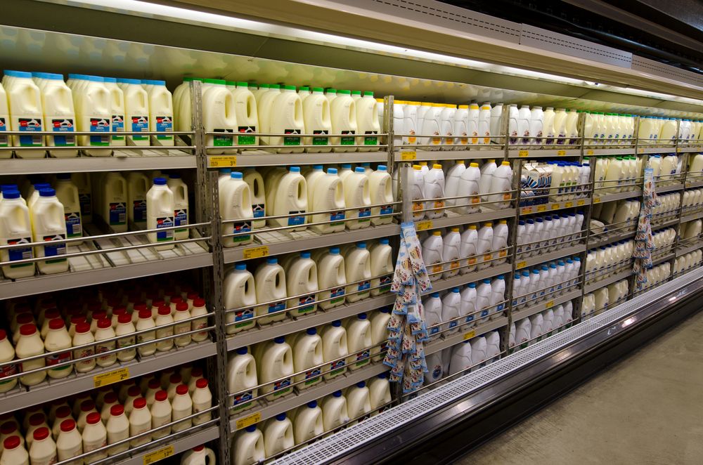 Strathroy to source 100% of liquid milk for southern shelves from Republic within a year