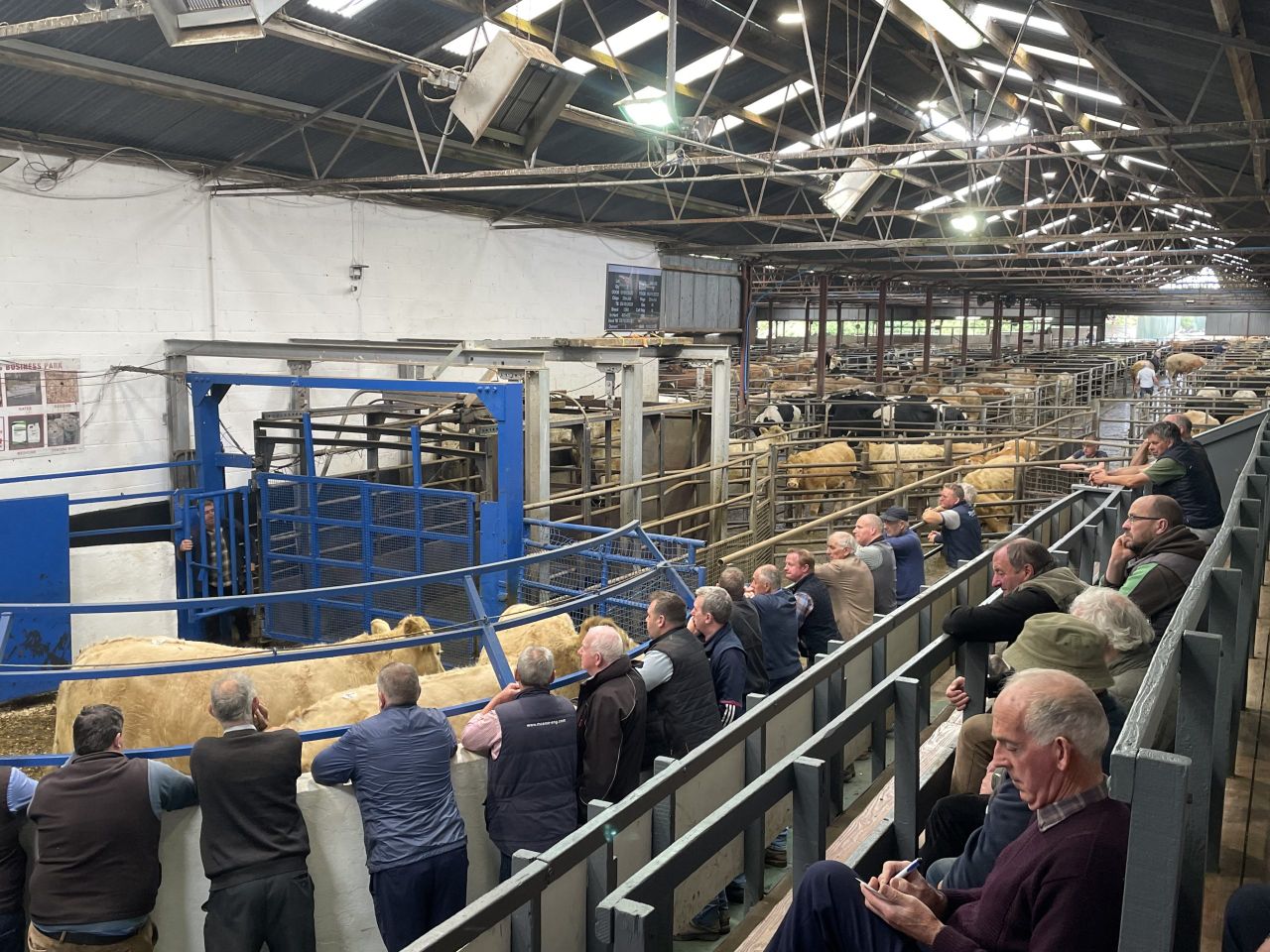A look at cattle prices from marts around the country