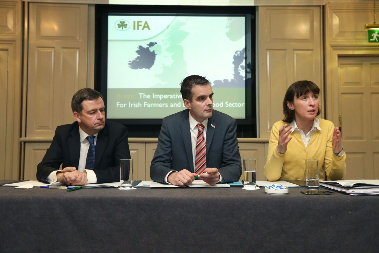 'European politicians believe that the UK should not get a soft exit'