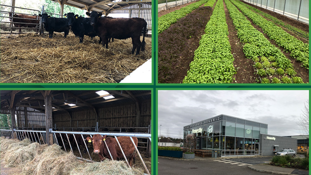 Beef focus revisited: Organic Dexter beef in west of Ireland