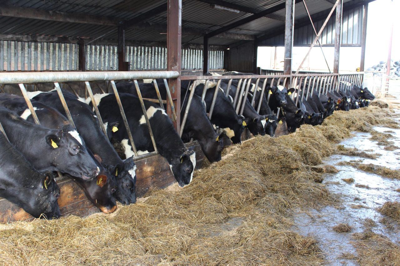 UFU warns of mounting pressure on NI farmers over Brexit