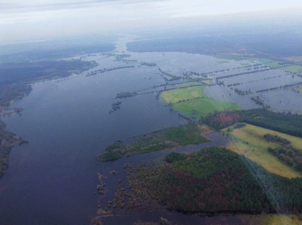 Floods create fodder crisis for farmers west of the Shannon - Teagasc