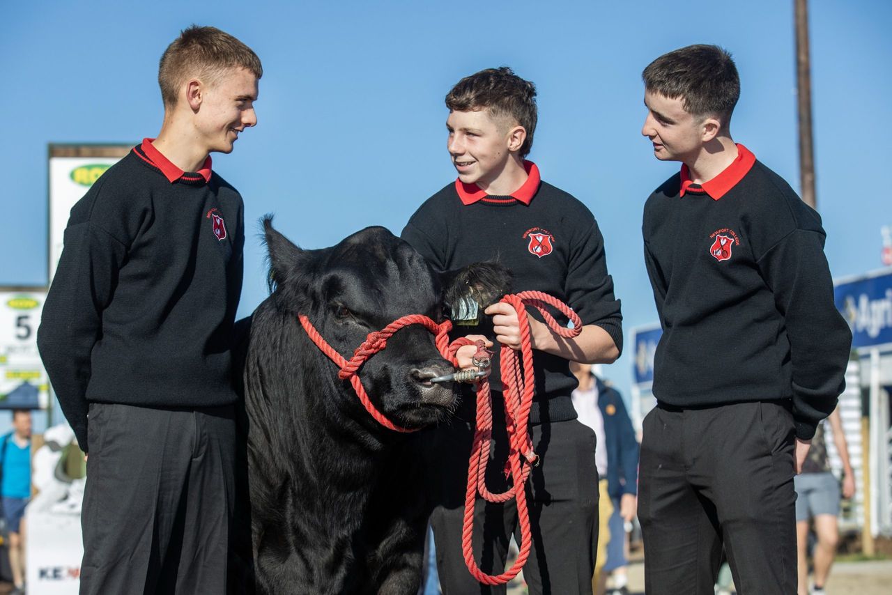 Irish students set to discuss sustainable farming in Brussels