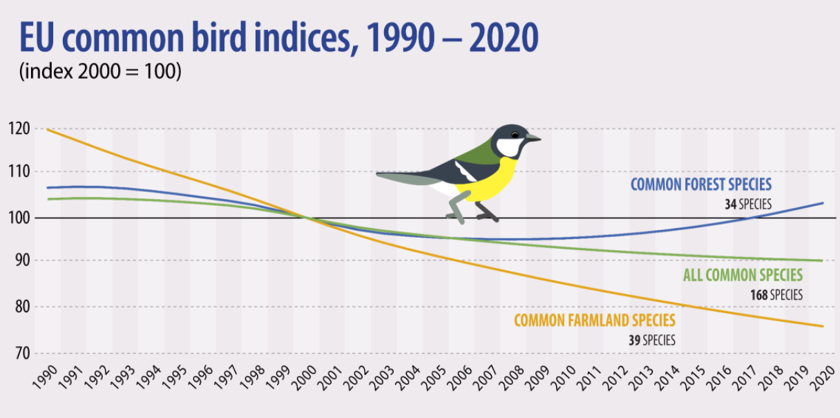 Population of common farmland birds in continued decline