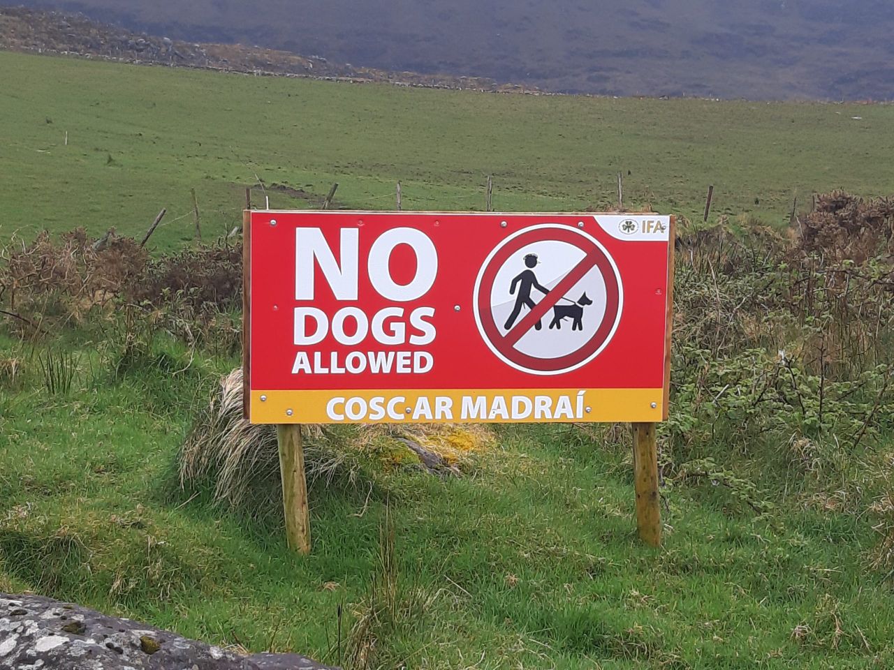 Call to ban dogs from farmland and hills before summer