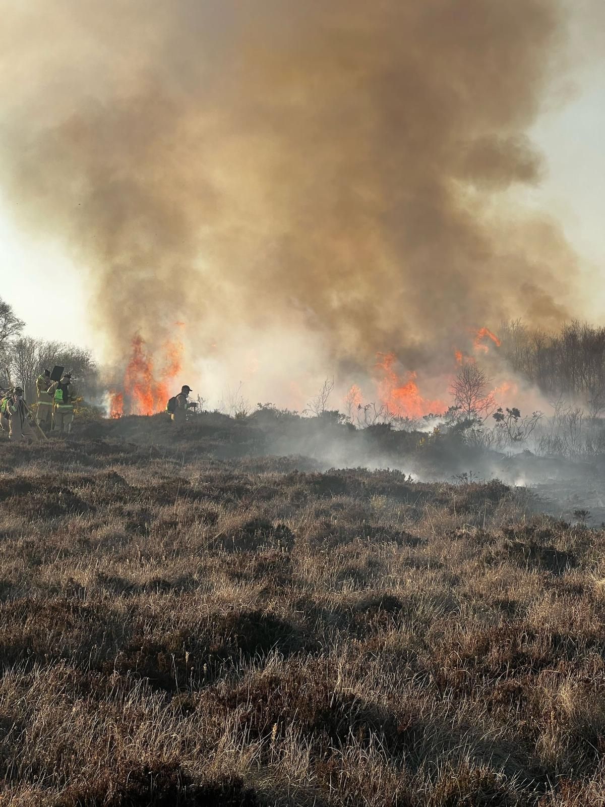 'Designated sites are quite literally adding fuel to the fire' - UFU