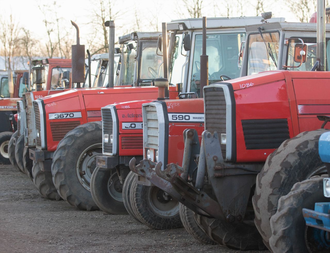 Auction report: MF in focus at the last big sale of the year