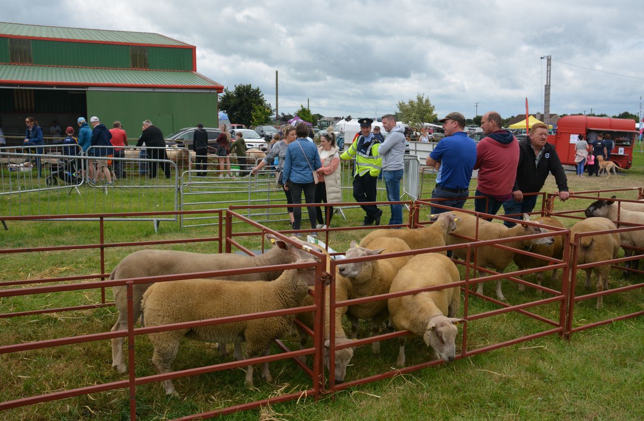 Over 300 competitive classes for Ossory Agricultural Show
