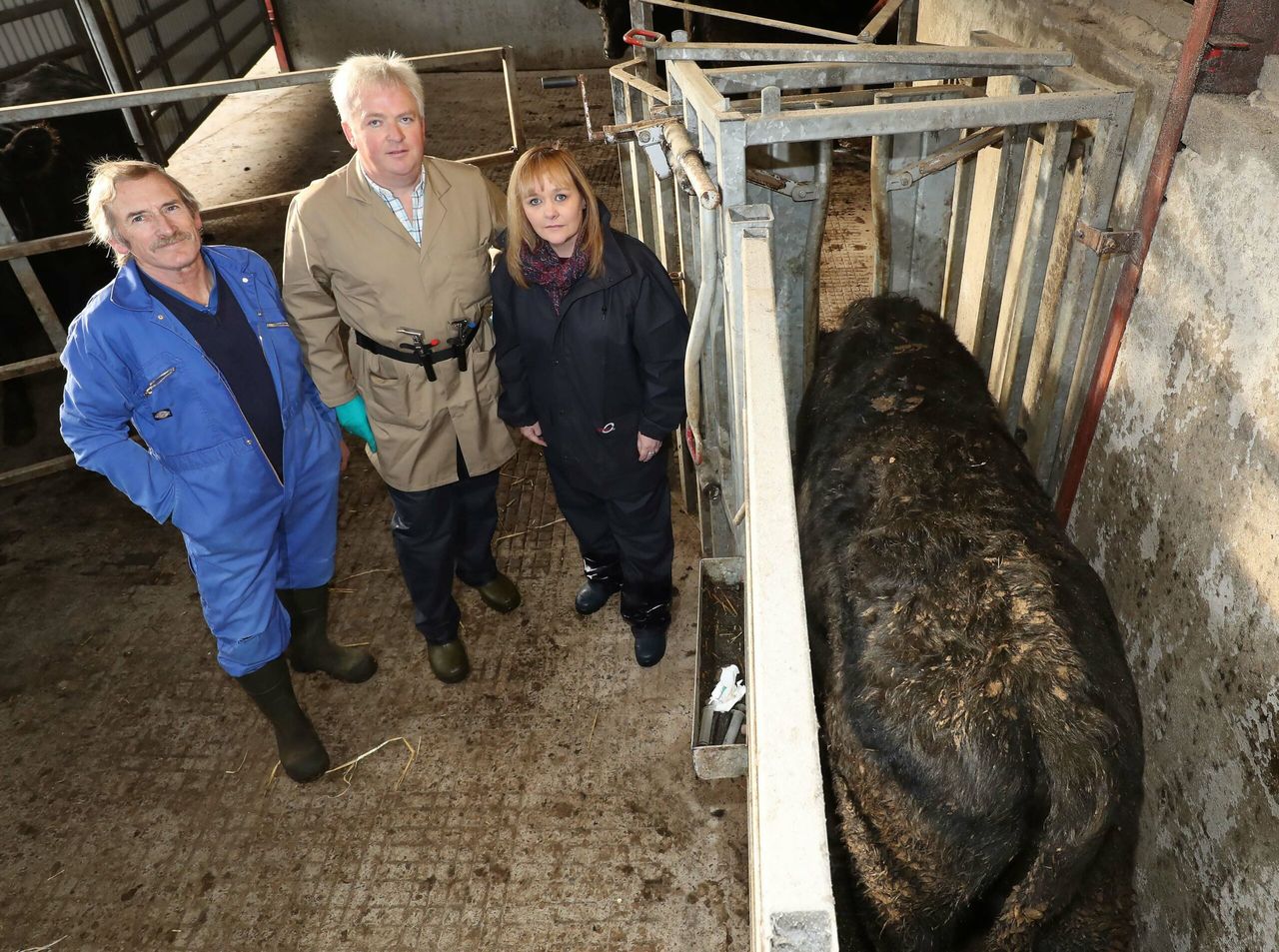 TB update: Chief vet says 'better surveillance' pushing up TB incidence rates