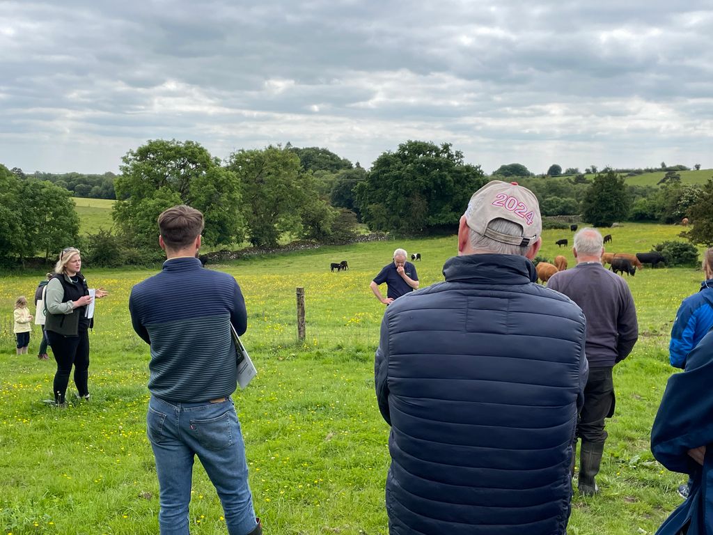 Jane explaining the suckler system on the farm