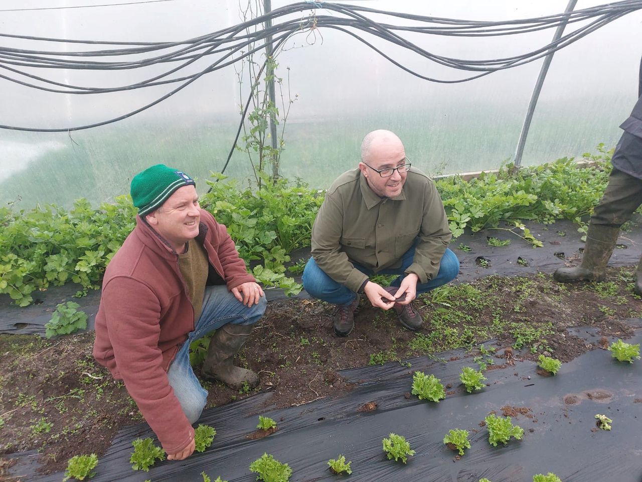 MacManus: Minister 'asleep at the wheel' on organic farming