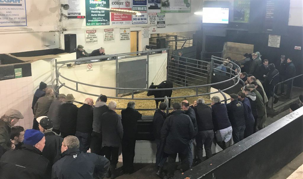 Elphin appoints new mart manager