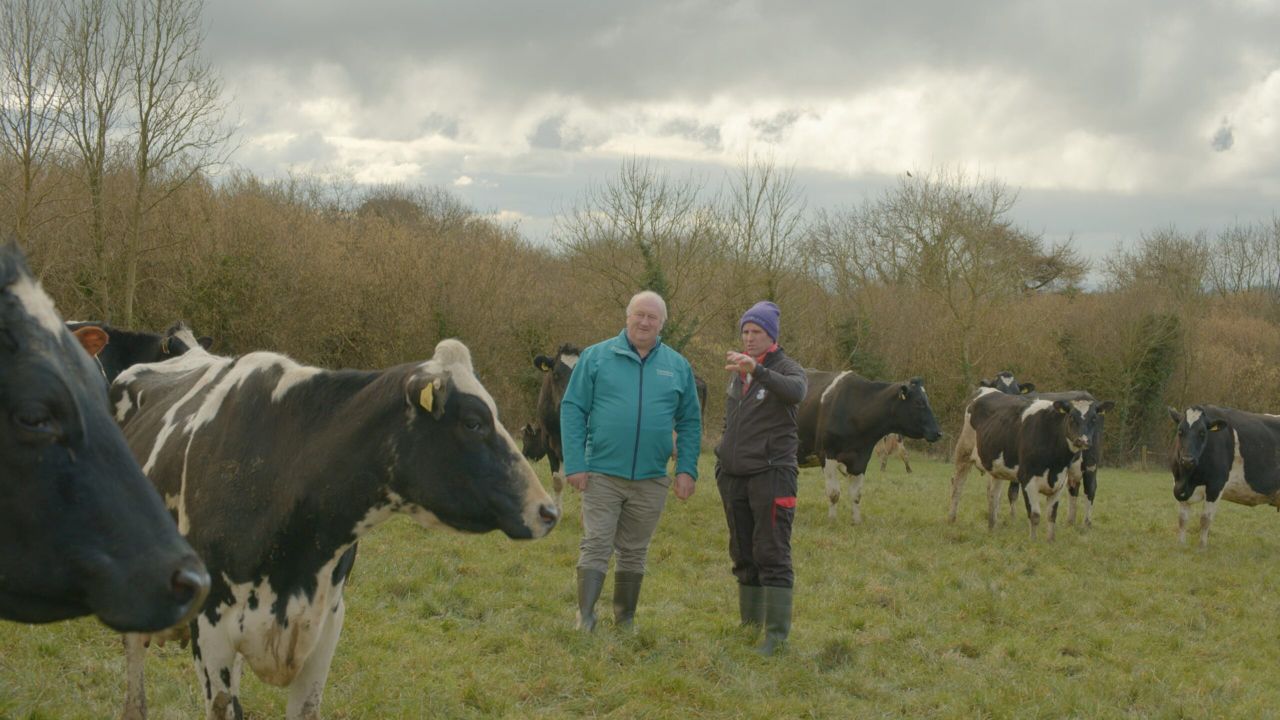 Breeding Series 2023 Long term development, not short term gains