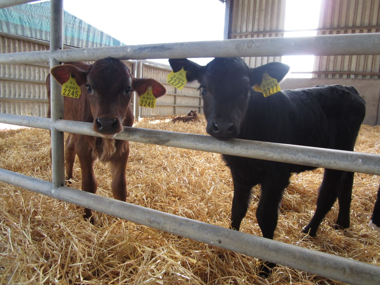 €5,000 prize giveaway for Glanbia photo competition