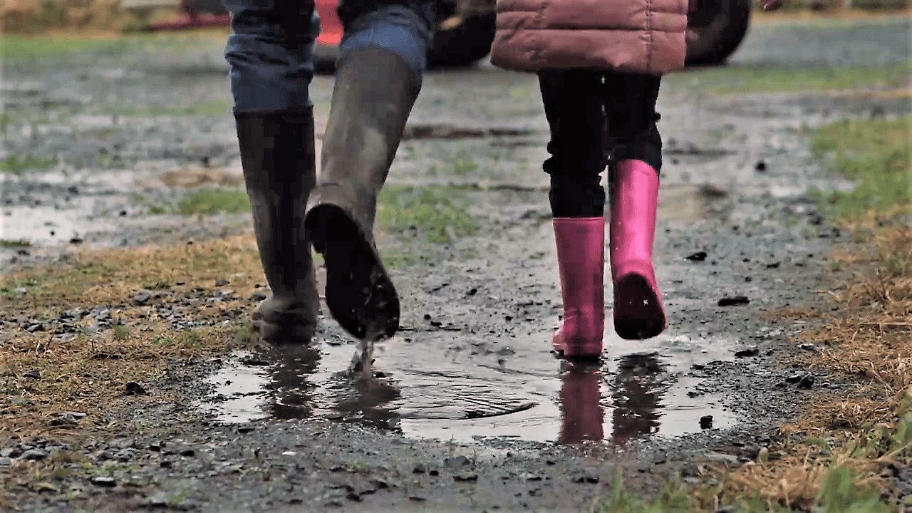 €850,000 for farm safety, health and wellbeing projects announced