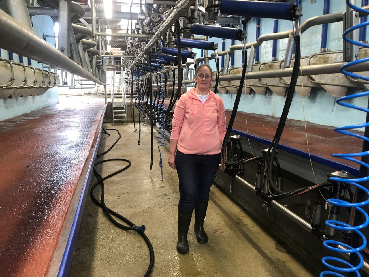 Dairy Focus: Updating the milking parlour after 50 years of service