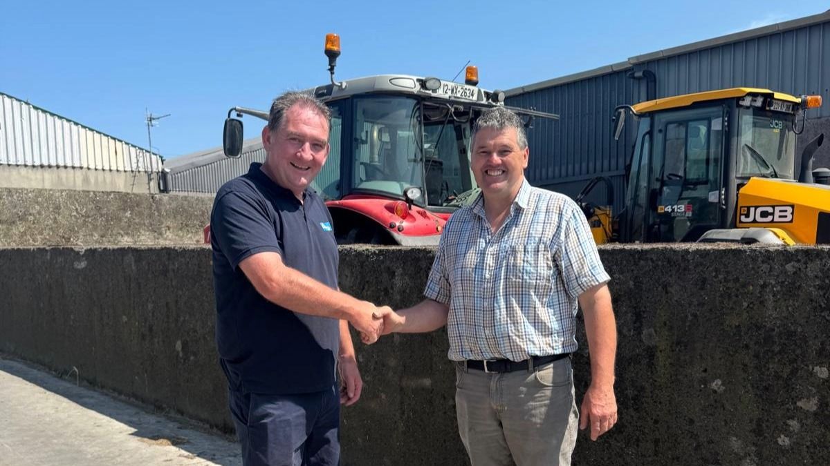Rethinking dry-off on a high-performing Kerry herd