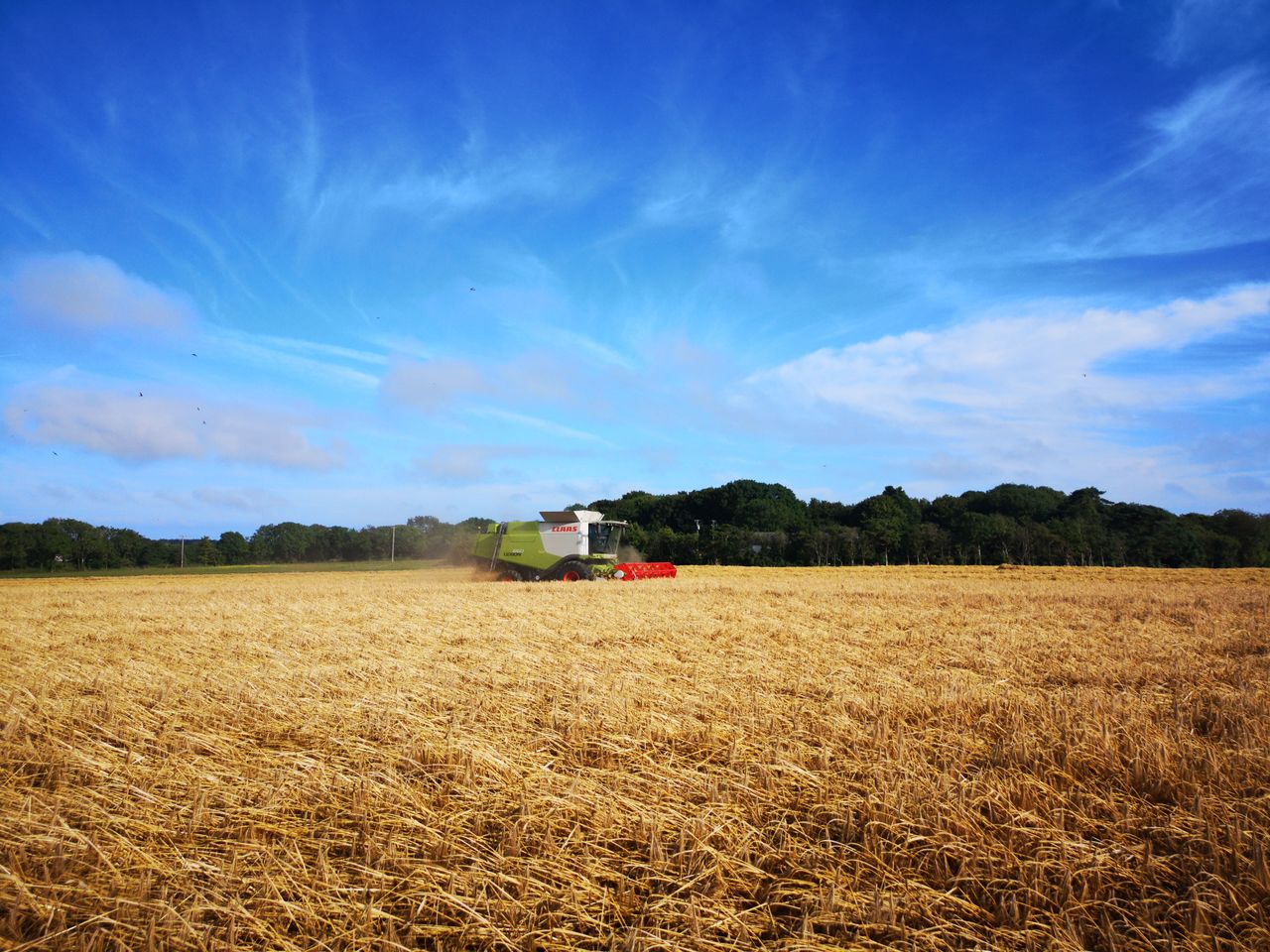 Harvest challenges ‘stacking up’ for cereal and oilseed rape