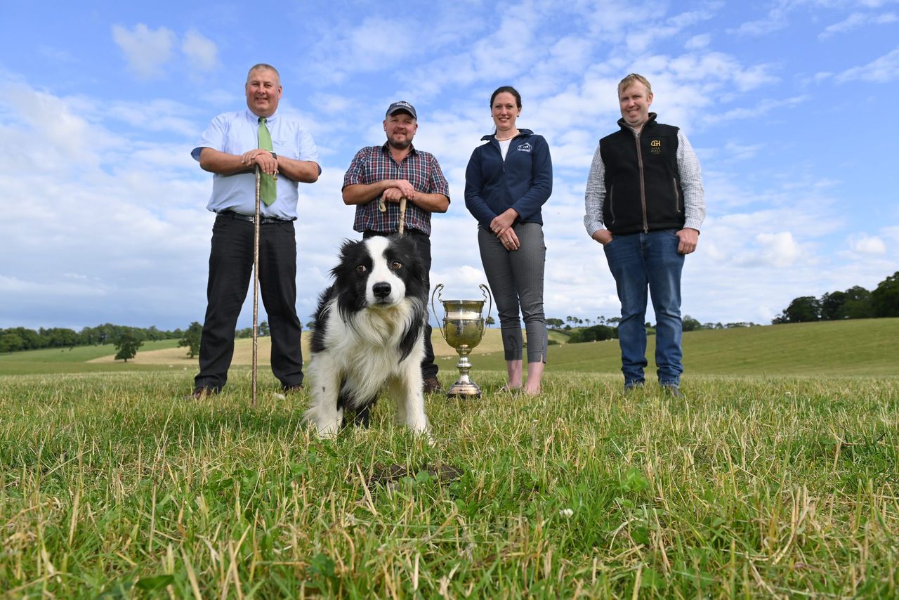 Co. Down location announced for 2023 World Sheepdog Trials