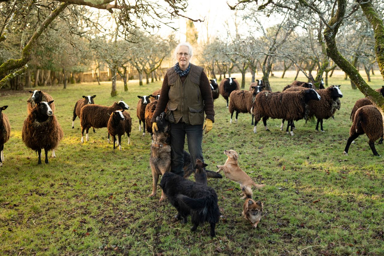 Art project to embark on rural tour and put farming 'under the spotlight'