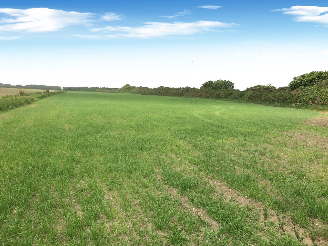 Farmers will vie with 'good lifers' for this well-located land