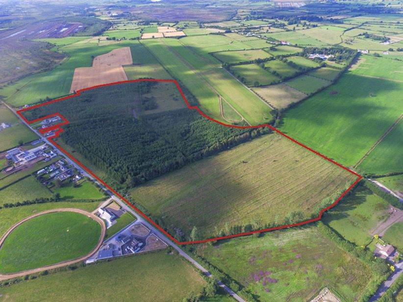 'Attractive' forestry plantation hits the market