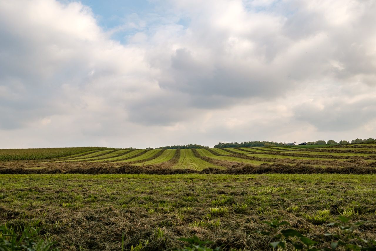 €17.8m awarded to  'environmental sustainability' projects