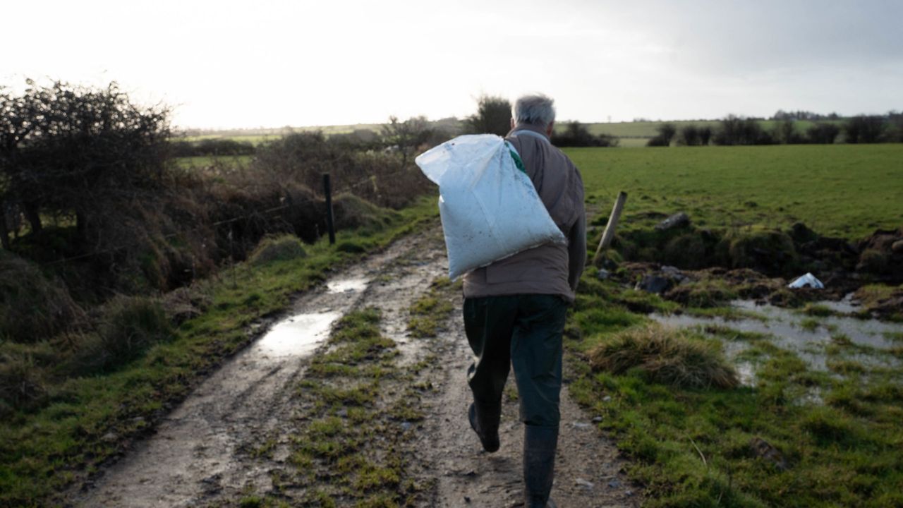 EU proposal to exempt farms under 10ha from CAP conditionality