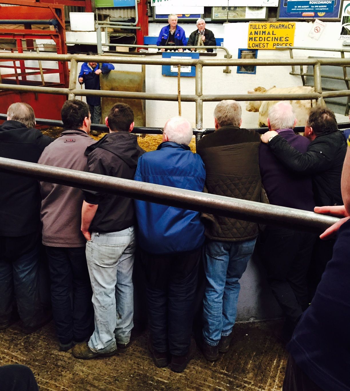 Farmers 7 times more likely to die from heart disease