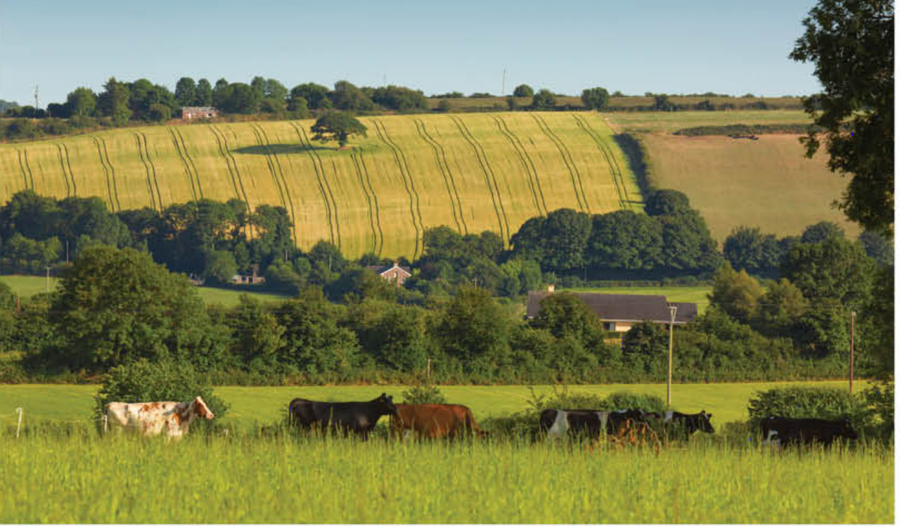 Water quality can REAP rewards from environmentally friendly farming