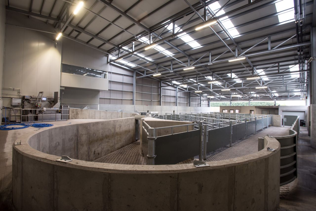 See inside 'the world's first' carbon-neutral beef factory