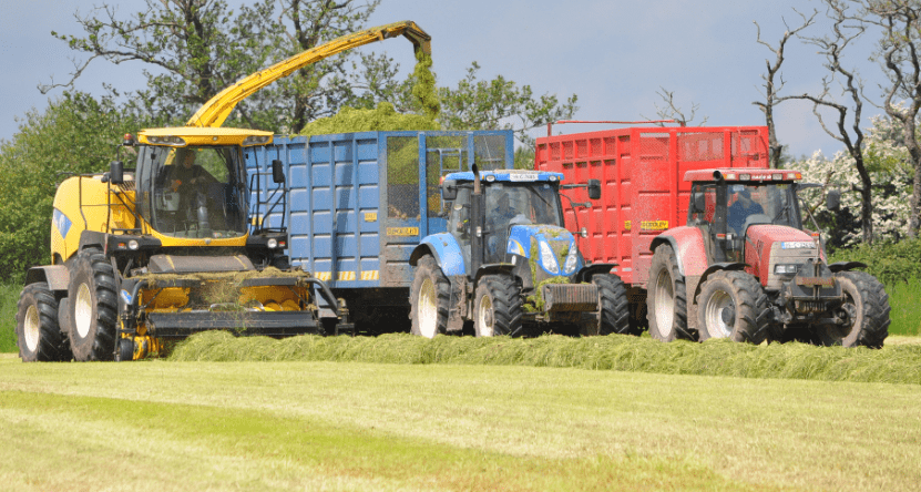 How much will it cost to get your (pit) silage cut?