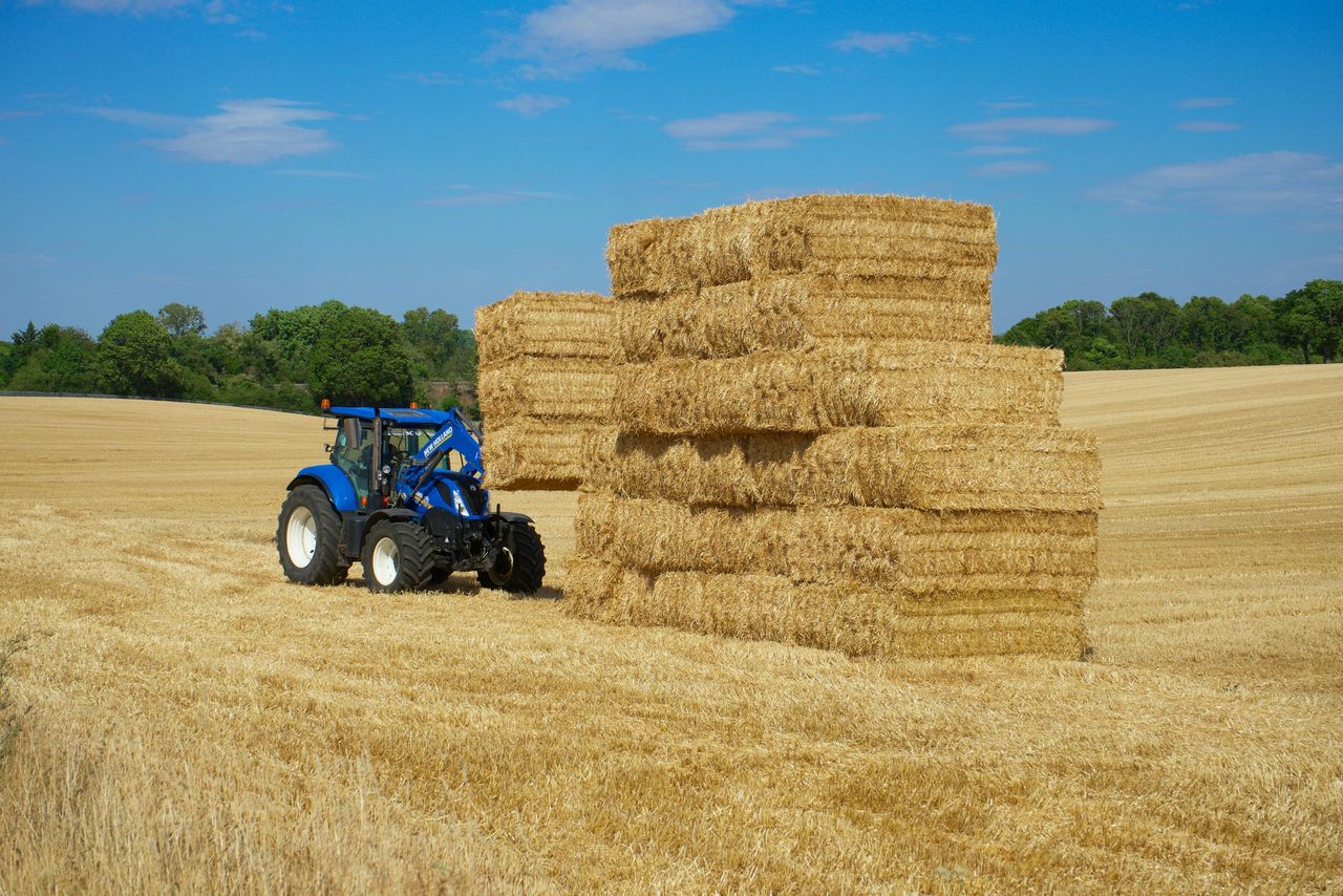 Are farmers equipped with enough straw for the winter season?