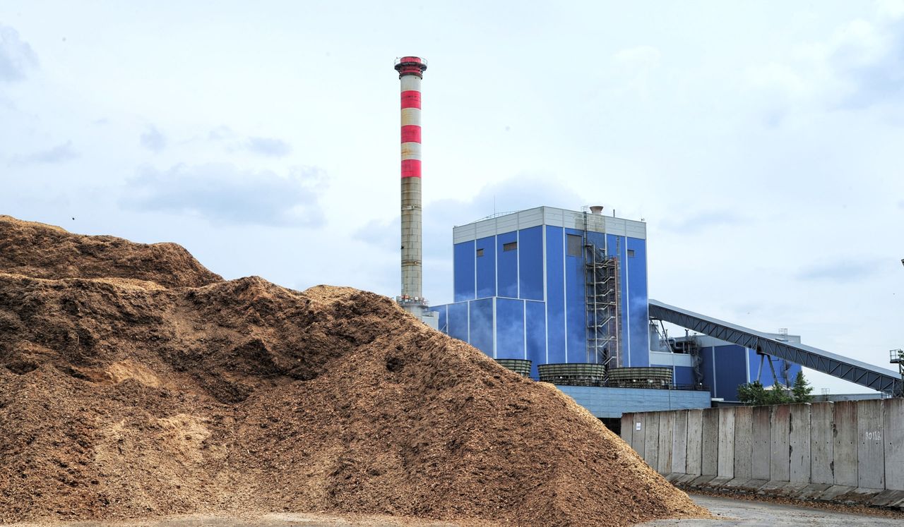 Burning biomass at Edenderry - could this be the future?