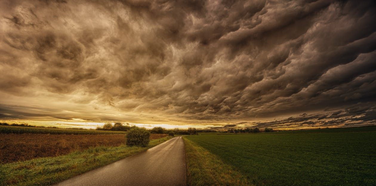 ESB Networks Winter Safety Series: Dealing with stormy conditions on farm