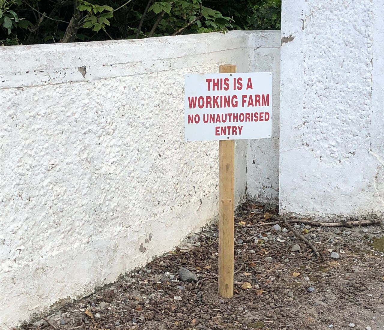 'We can't get over lack of respect for other people's property'