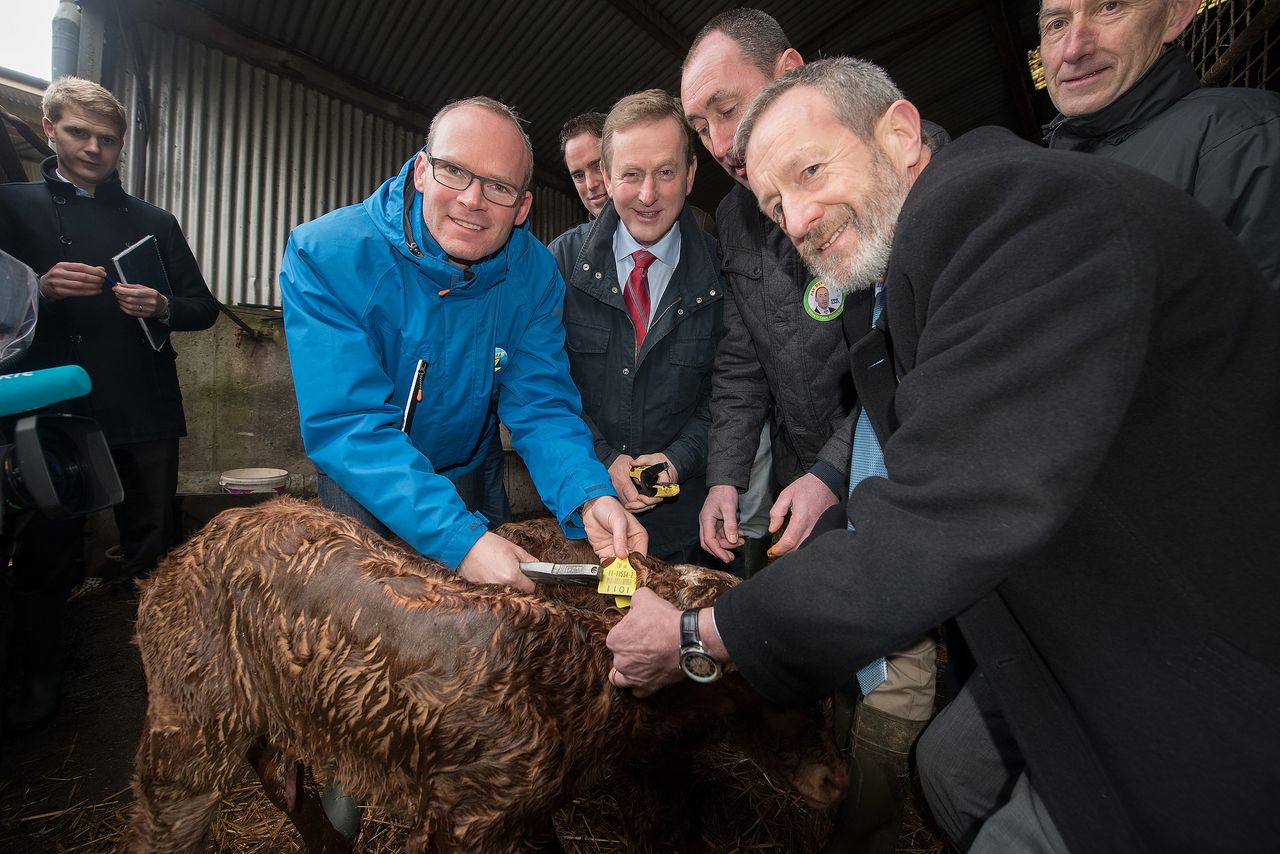 'Minister put politics before hard pressed farmers' by not attending key EU meeting
