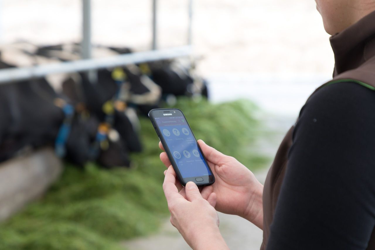 Could the MooMonitor+ be the answer to less antibiotic usage on farms?