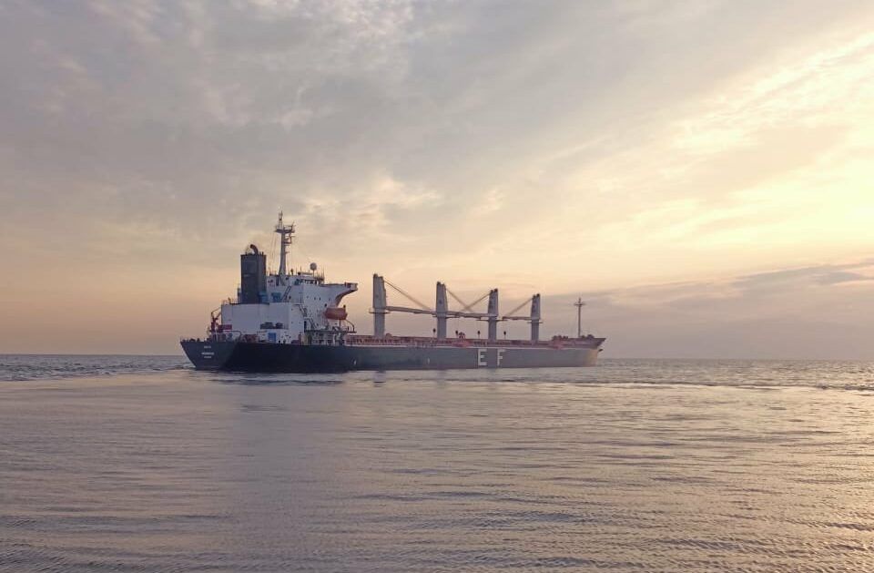 UK food exports to EU down 34.6% since Brexit - FDF