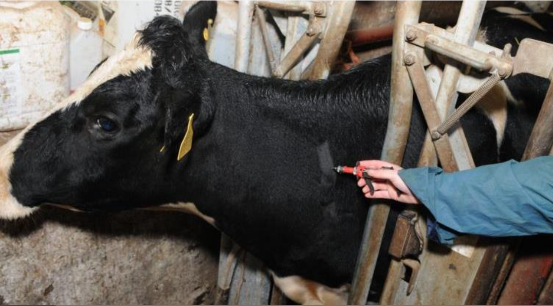 DAFM to backdate extra TB compensation due to farmers