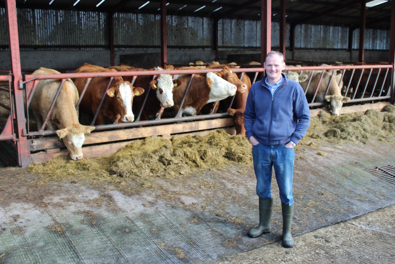 Finishing sucklers on the Fermanagh farm of UFU president