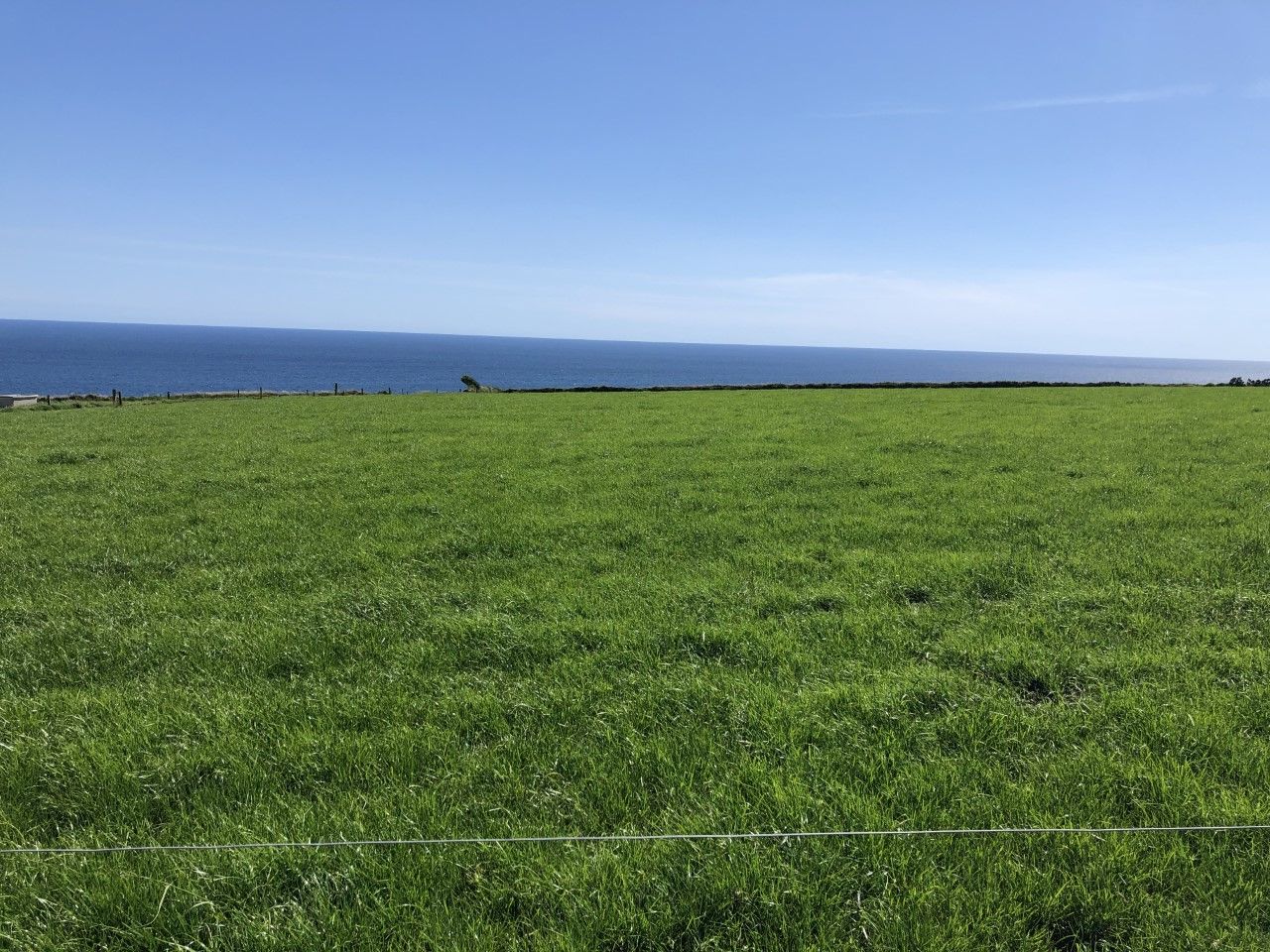 Number of agricultural land transactions rises from 2017 levels - CSO