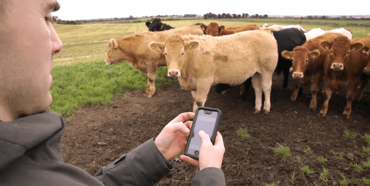FARM SMART: How farmers can make their lives easier through technology