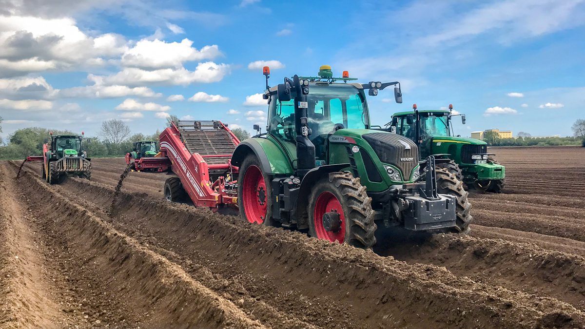 Tillage focus: Green army finishes potato planting in 3 counties