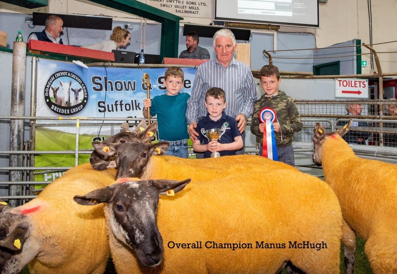 Donegal Cheviot sale sees prices top €360