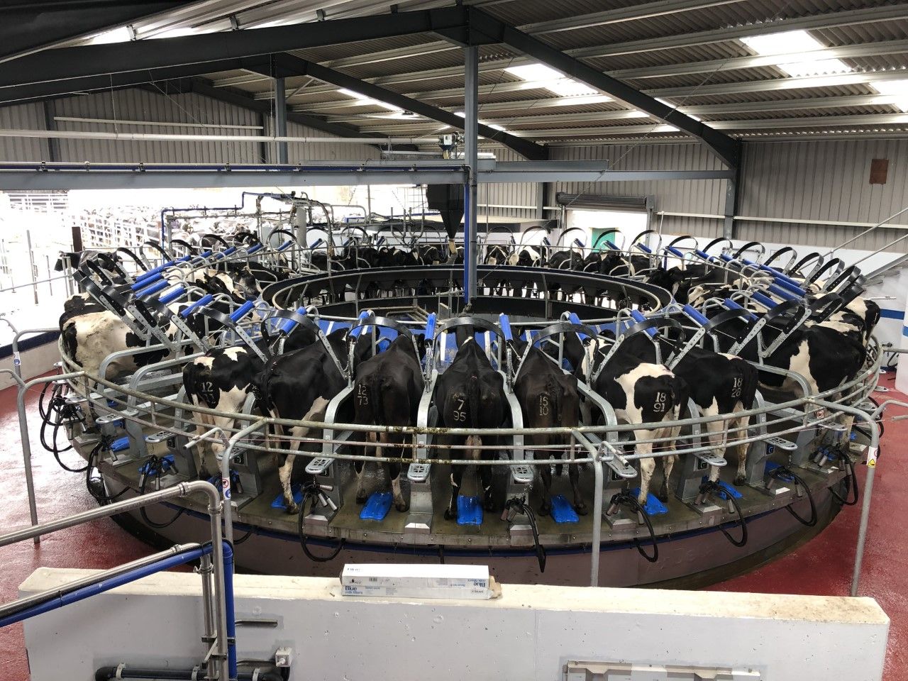 Milk Price Tracker: A round-up of what co-ops paid for August's milk supplies