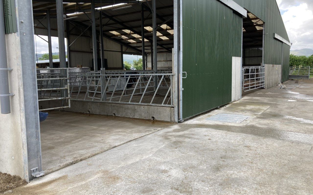 Beef kill now over 60,000 head behind last year's levels
