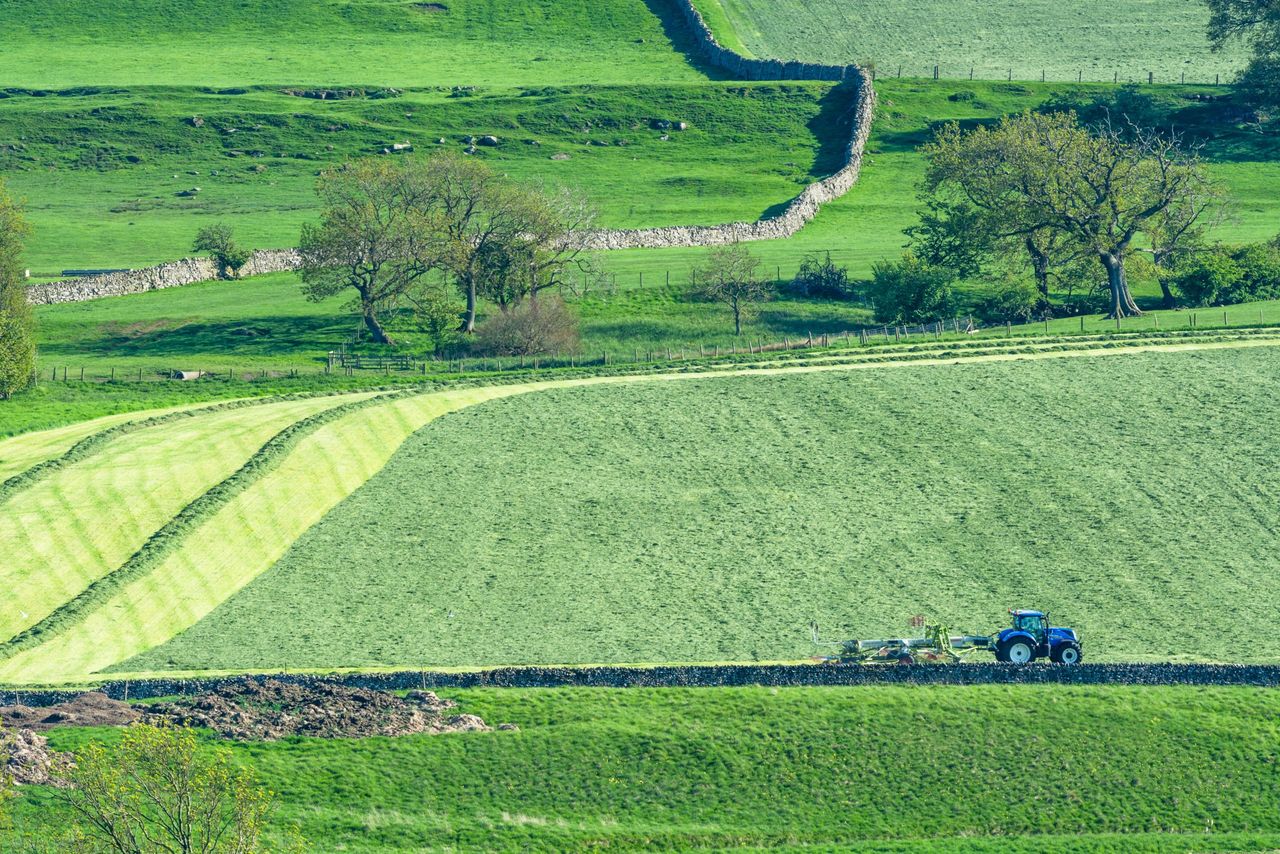 Passing it on: The 'succession effect' on land access and Irish farms